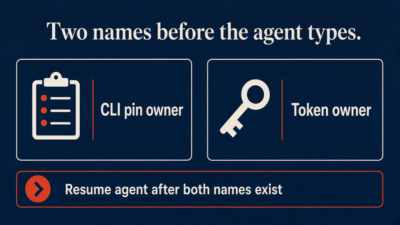 Two names before the agent types: CLI pin owner and token owner